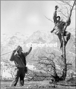 1945 10th mountain div fili telefonici del monte belvedere provincia di bologna