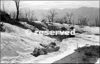 feb 1945 monte belvedere primo giorno attacco sul monte belvedere morti di entrambe le parti rimangono dove erano caduti